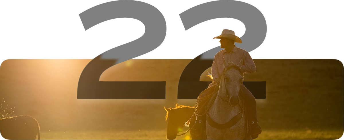 A stylized graphic with a cowboy riding a horse across a sunlit field, overlaid with a large translucent gray number 22.