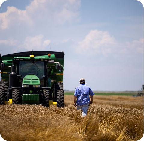 A man in a blue shirt and white pants walks through a golden wheat field toward a large green John Deere tractor under a blue sky with white clouds.