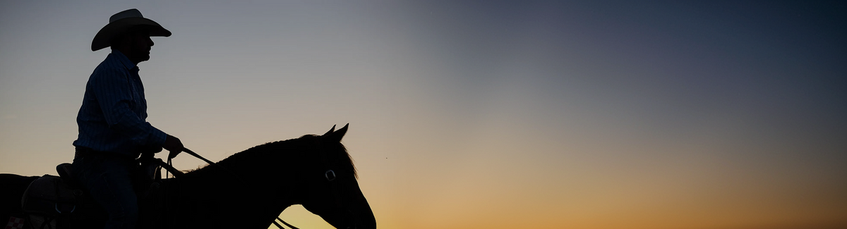 A silhouetted cowboy wearing a wide-brimmed hat rides a horse against a sunset sky gradient from deep blue to warm orange.
