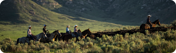 Our Ranch