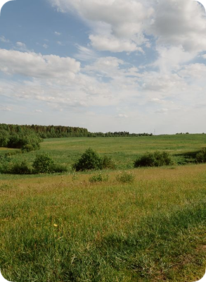 A wide outdoor landscape scene with a grassy field in the foreground, a line of trees in the distance, and a blue sky with large white clouds overhead.