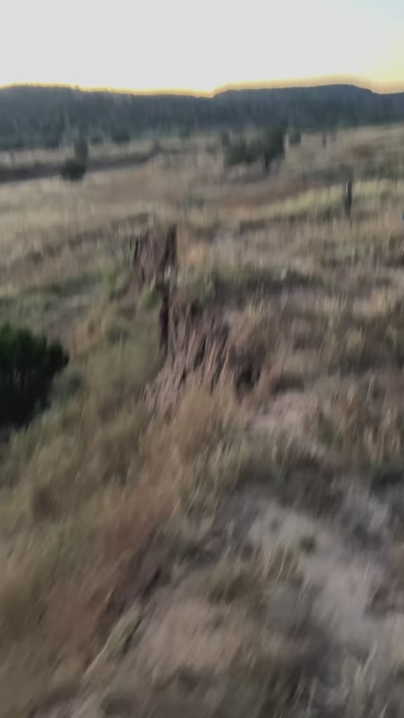 TrailTales
